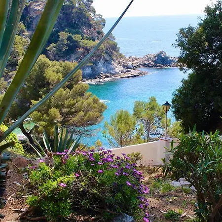 Estudio A 100M De La Playa Tossa de Mar Buitenkant foto
